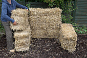 Woman making compost bin from bales of straw