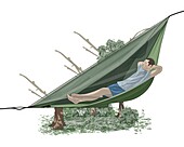 Man lying on hammock, illustration
