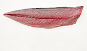Fillet of Jack mackerel