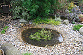 Small round garden pond surrounded by pebbles