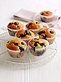 Blueberry muffins in paper cases