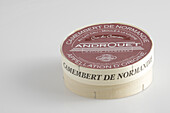 French camembert de Normandie cow's milk cheese