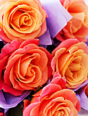 Rose bouquets wrapped in tissue paper