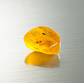 Replica amber with ants trapped inside