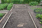 Laying out area for raised wooden beds on allotment plot