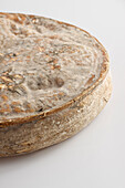 French Saint-Nectaire AOC cow's milk cheese