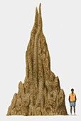 Teenager standing next to large anthill, illustration