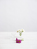 Chrysanthemums arranged in wine glasses