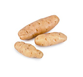 Three 'Anya' salad potatoes