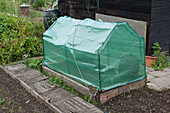 Mini greenhouse made from green plastic fabric