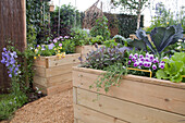 Large wooden planters in garden