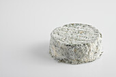 Mould on ash-coated rind of French Selles-sur-Cher cheese