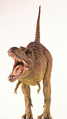 Tyrannosaurus rex model baring teeth