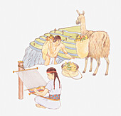 Incas, illustration