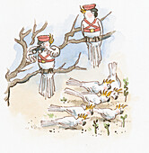 Birds wearing army uniform and keeping watch, illustration