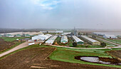 Egg farm, Michigan, USA, aerial photograph