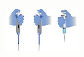 Pipetting and injecting, illustration