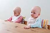 Twin babies seated in high chairs with hands on the table