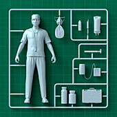 Nurse model assembly kit, illustration