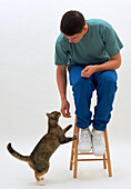 Cat reaching up to a man's hand as he bends down