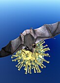 Bat and Covid-19 particle, illustration