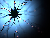 Nerve cell, conceptual illustration