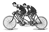 Tandem riders racing on bicycle, 19th century illustration