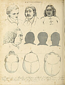 Faces of various races, 19th century illustration