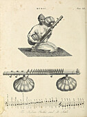 Sitar, 19th century illustration