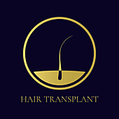 Hair transplant, conceptual illustration