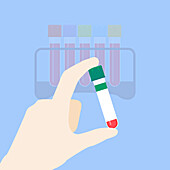 Thyroid panel test tubing, illustration