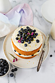 A blueberry sponge cake in a white kitchen