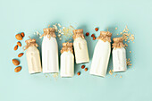 Vegan non dairy plant based milk in bottles and ingredients on turquoise background (almond, hazelnut, rice, oat, soy
