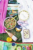 Picnic of pasta salad, melon and packaged barbecue ingredients