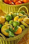 Citrus fruit variety