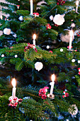 Christmas tree decorated with real candles and toadstools