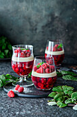 Raspberries Panna Cotta parfait