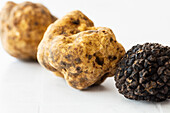 Two different types of truffles (white and black)
