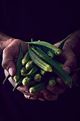 Hands holding okra