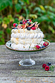 Pavlova in a garden with figs and berries