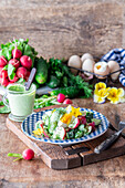 Radieschen-Gurken-Salat mit Sauerrahm und Kräutern