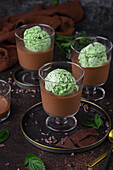 Chocolate mousse with mint ice cream