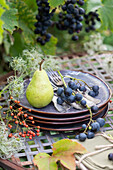 Tischdekoration zum Erntedankfest: blaue Weintrauben, Birne, Hagebutten, Samenstände der Waldrebe und Geschirr
