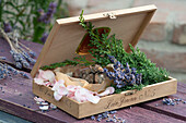 Holzkiste mit Zutaten um Räucherwerk herzustellen: Rosenblütenblätter, Kiefernharz, Lavendel und Scheinzypresse