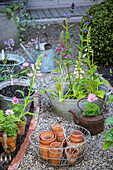 Collection of vintage garden planters and terracotta pots
