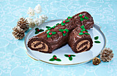 Le buche de Noel (Chocolate roll from France)