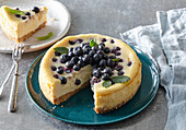 Blueberry cheesecake