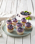 Poppy seed cupcakes with blueberry cream