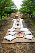 Picknick im Obstgarten