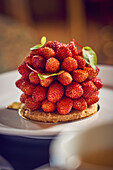 Wild Strawberry Tart (Close Up)